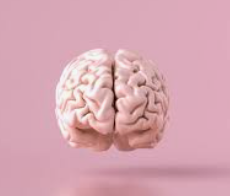 ผลไม้ที่ช่วยให้ สมองปลอดโปร่ง ขณะเล่นพนัน ufabet